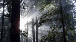Almacenar el CO2 bajo tierra es seguro durante los siguientes 10.000 años