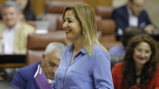 Carmen Lizárraga, en el Parlamento andaluz