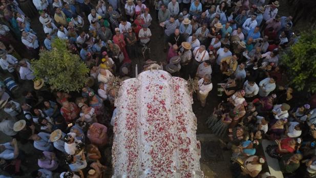 La carreta del Simpecado de la hermadnad del Rocío de Córdoba llega hata la aldea del Rocío