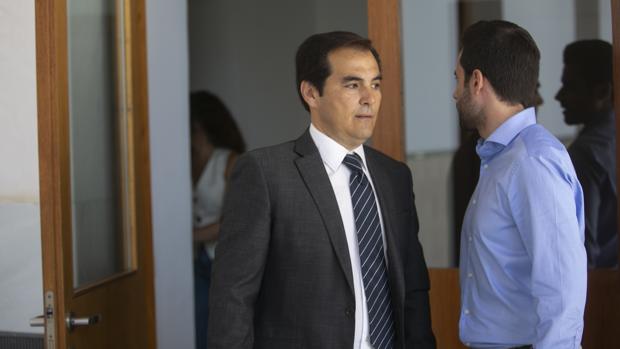El portavoz parlamentario del PP, José Antonio Nieto