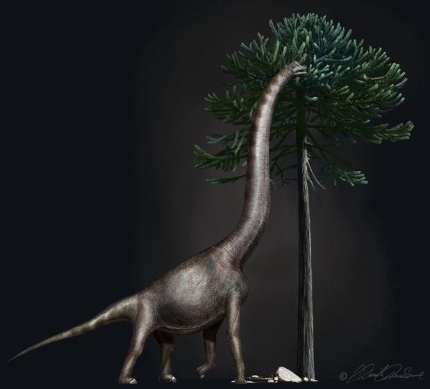 Representación de «Bigfoot», un saurópodo, como los diplodocus, que vivió en América del Norte