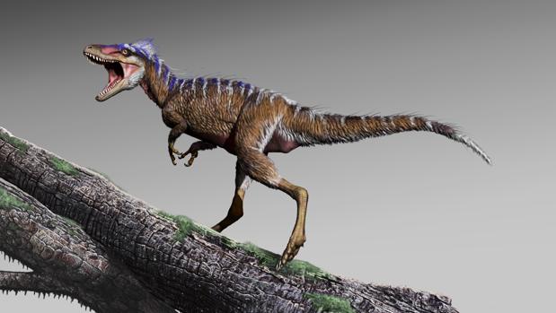 El pequeño pero letal Moros intrepidus