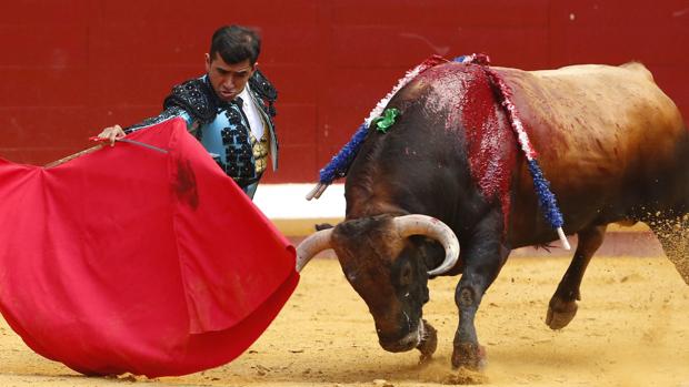 Joselito Adame se dobla con el toro