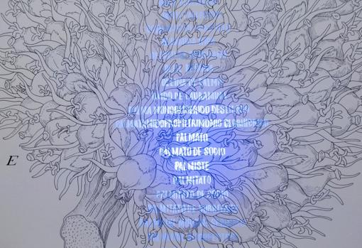 «Elaeis guineensis» (2019)