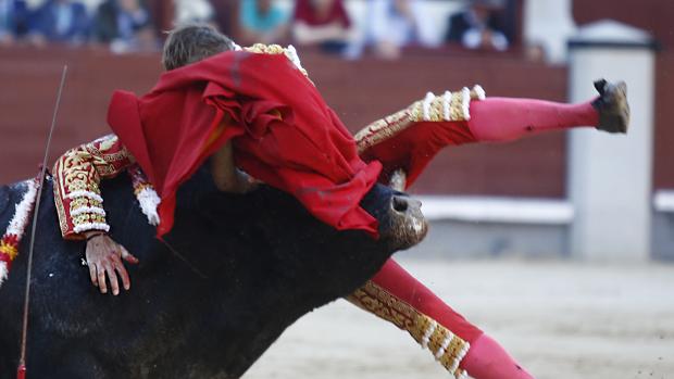 El pitón se hunde en el muslo izquierdo de Manuel Escribao