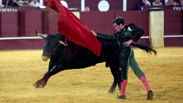 El sevillano Juan Ortega hará su cuarto paseíllo en Madrid