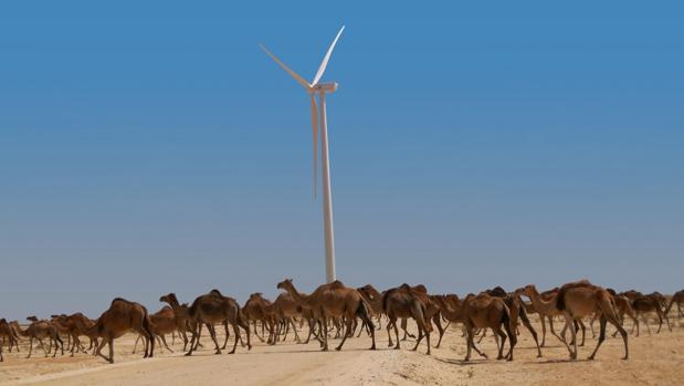 Imagen del parque eólico construido por la compañía española en Nouakchott