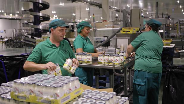 Trabajadores de Ybarra en la nave de las mayonesas