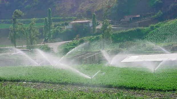 Los regantes del Guadalquivir no están conformes con el agua asignada para sus cultivos