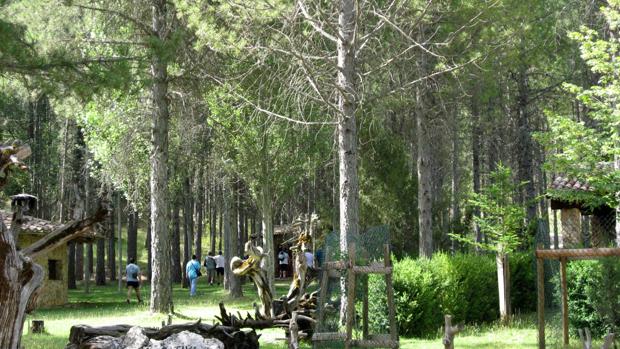 Visita al Parque Cinegético de El Hosquillo, en la provincia de Cuenca