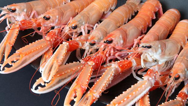 El marisco se vendía sin ninguna garantía de trazabilidad