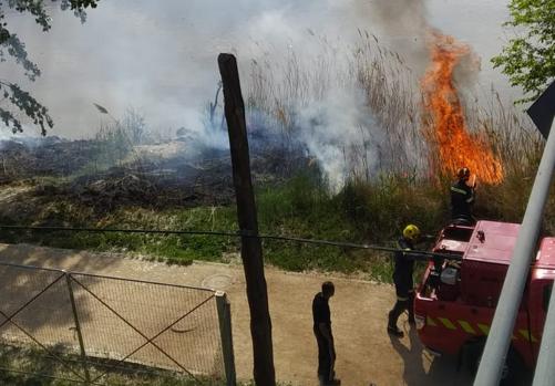 Fuego en las riberas del Tajo el 28 de abril pasado