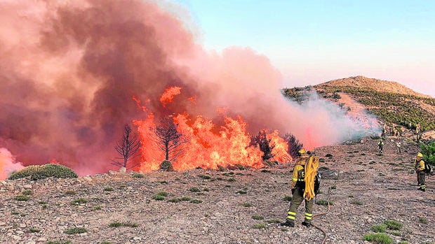Varios bomberos luchan contra el incendio declarado el sábado en Sotillo de la Adrada (Ávila)