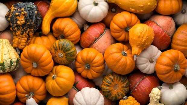 La calabaza tiene fibra, vitaminas y pocas calorías.