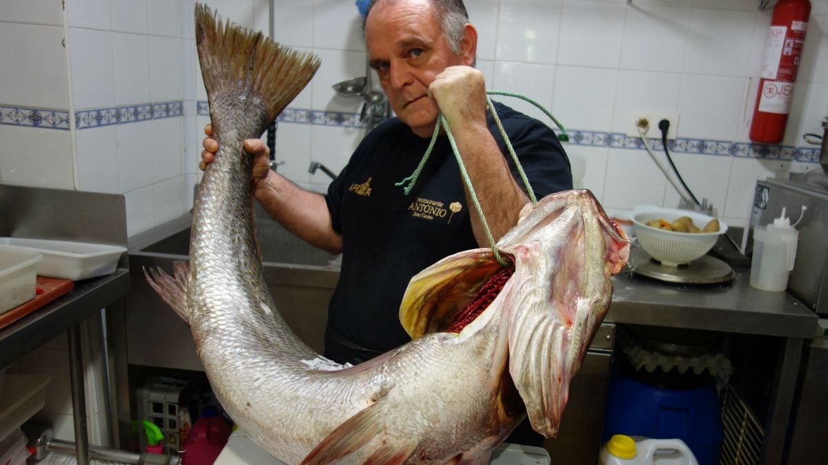 El cocinero, Manuel Díaz, muestra una lubina de más de 20 kilos