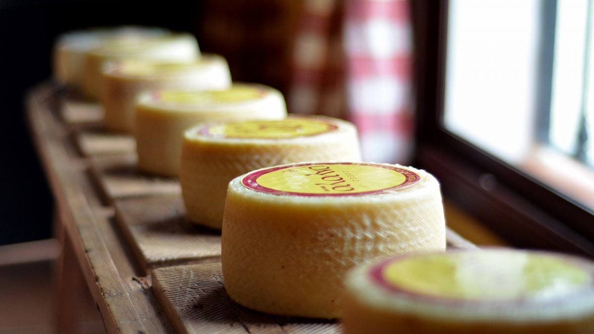 Los quesos de Payoyo tienen en su palmarés 150 premios nacionales e internacionales