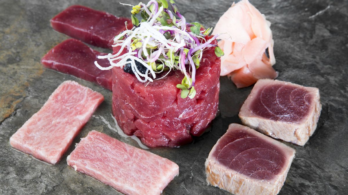 Surtido de crudos con sashimi toro, tartar, tataki y sashimi de lomo