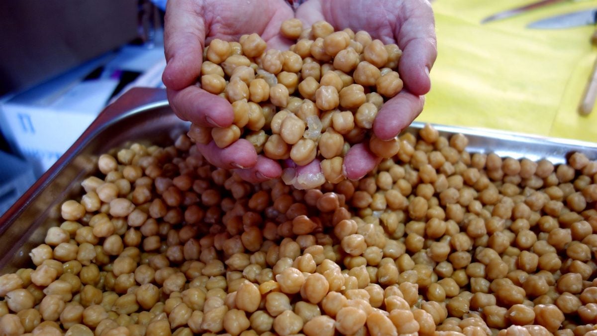 Es un garbanzo lechoso, cremoso, con mucho sabor y de piel muy fina.