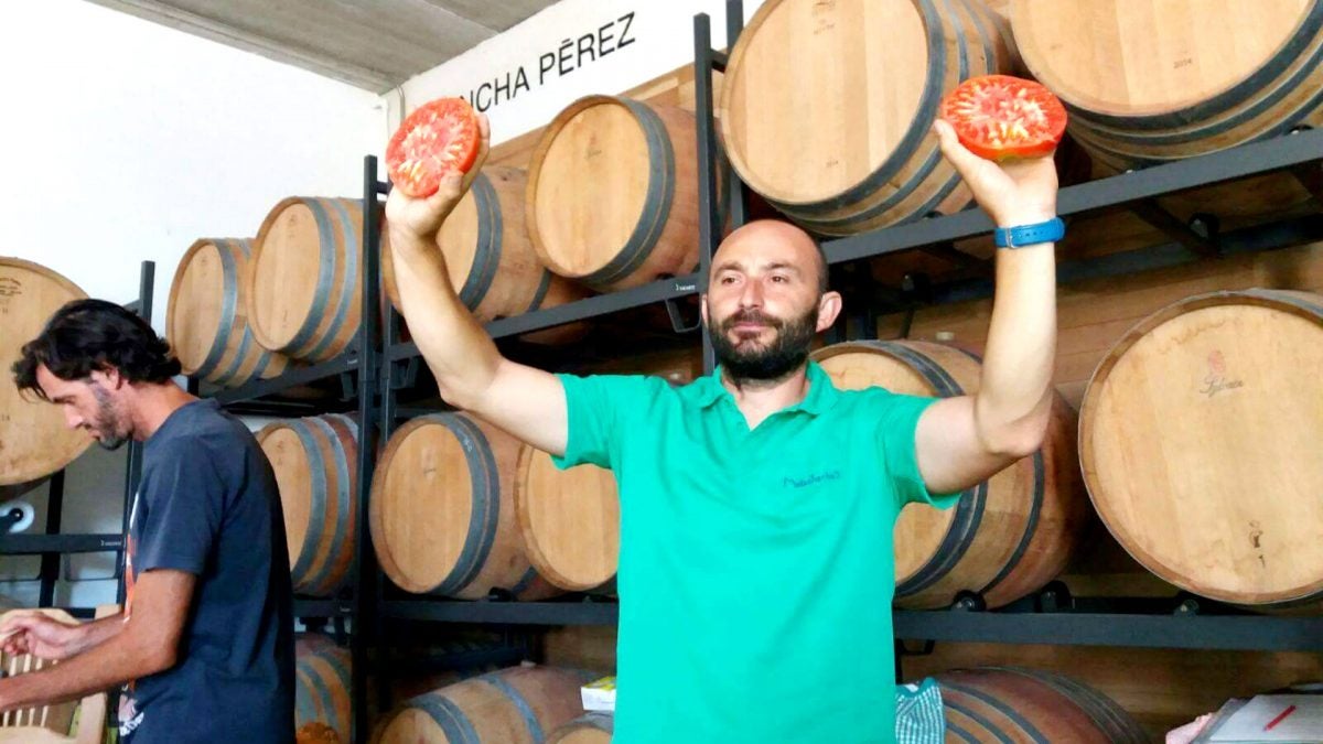 Otilio Sánchez, de Malasjierbas, durante una charla sobre tomates ecológicos en Sancha Pérez