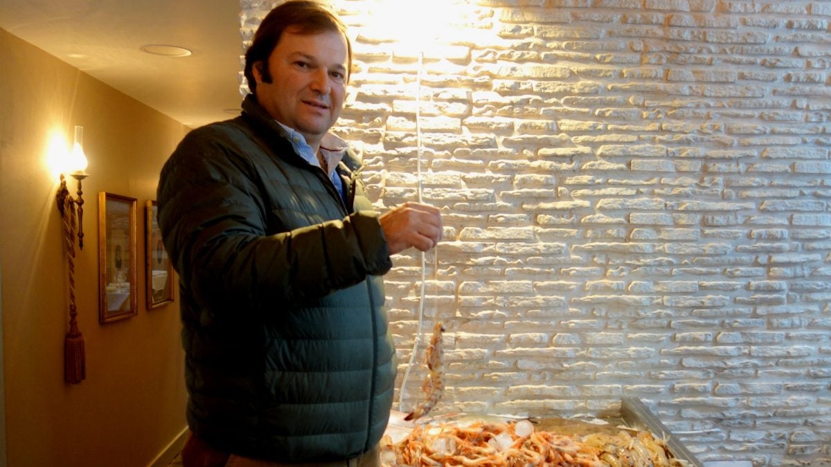 Fermín sujeta un langostino de Sanlúcar por los bigotes, señal de que es fresco. | G.C.