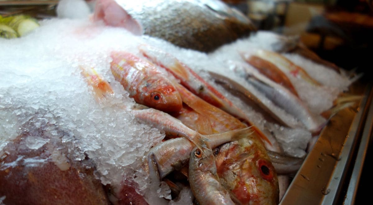 El pescado se compra en el mercado cada mañana. | G.C.