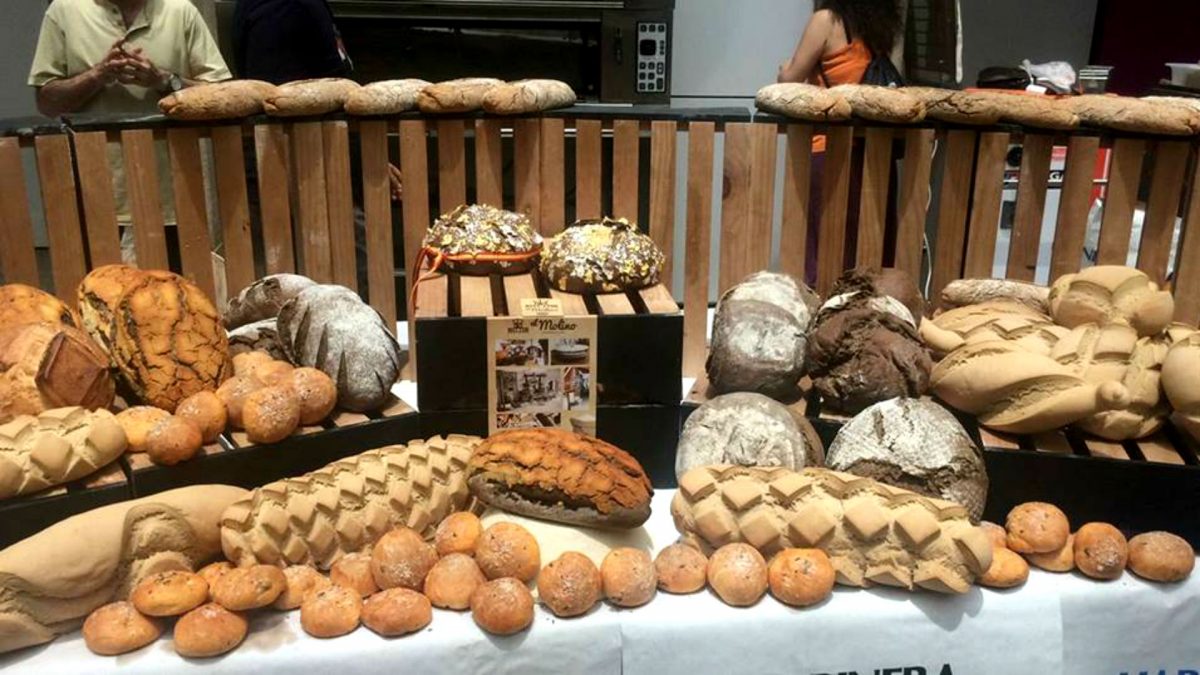 Una muestra de algunos de los panes que se eleboran en La Taberna del Artesano de San Fernando. | Cedida