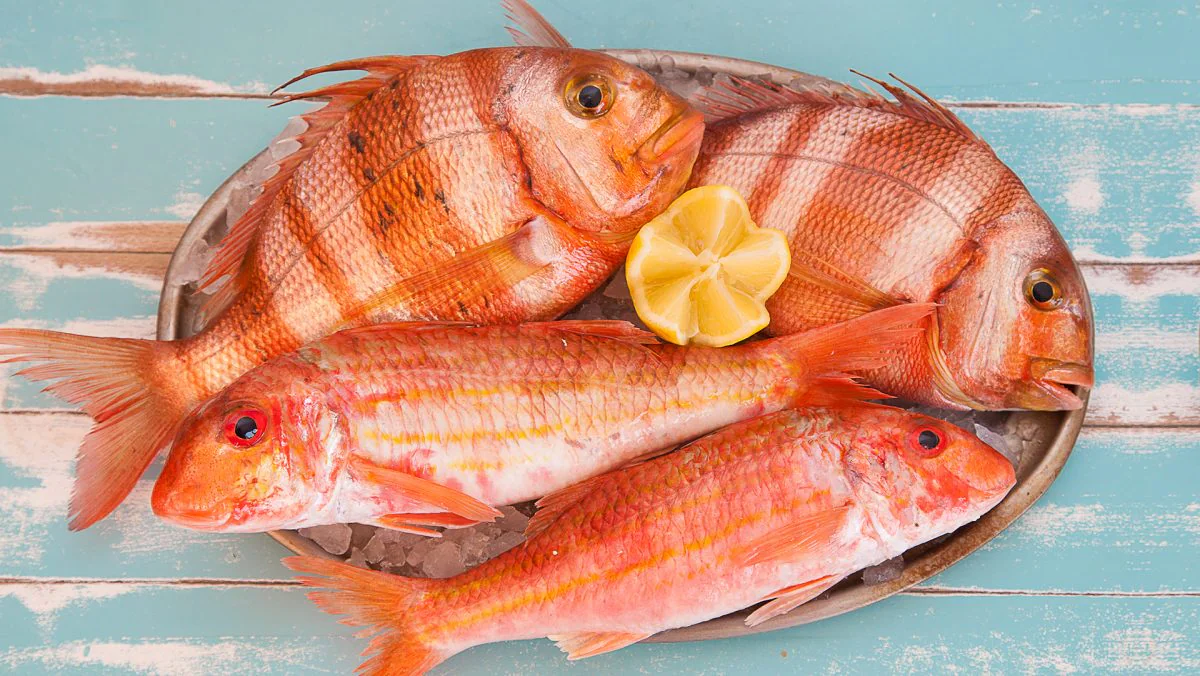 El pescado fresco, seña de identidad del restaurante La Fontanilla | Foto: Beate Roggenbau
