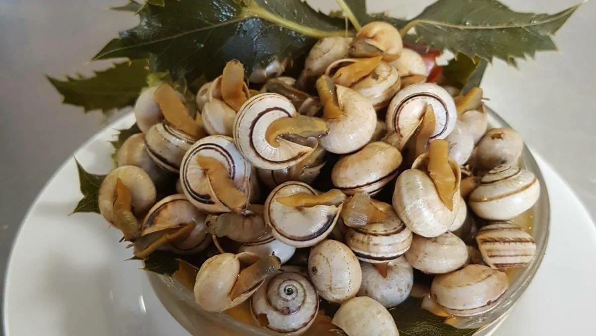 El Nebraska es uno de los mejores bares para comer caracoles en la provincia de Cádiz.