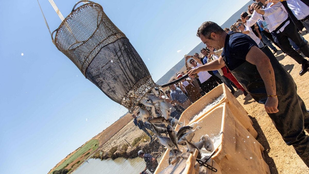 El pescado de estero, protagonista en la Ruta de los Esteros de San Fernando.