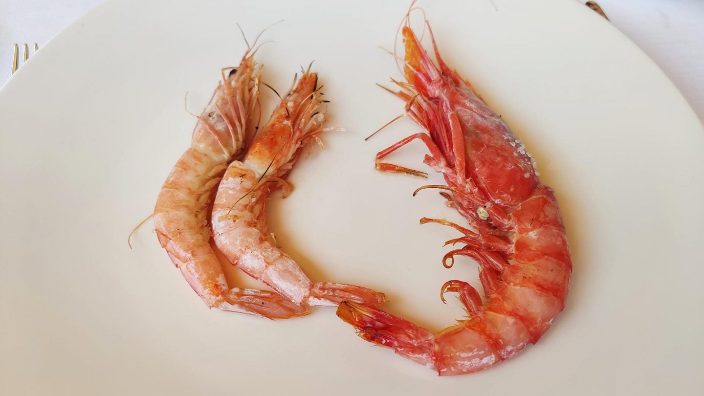 Gambón alistado de Isla Cristina y gambas de Sanlúcar.