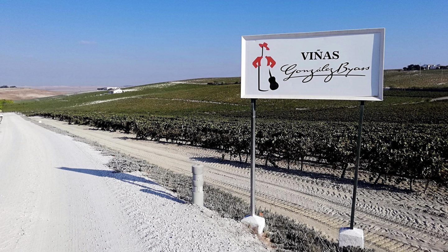 Las viñas de González Byass dedicadas al cultivo de la Pedro Ximénez.