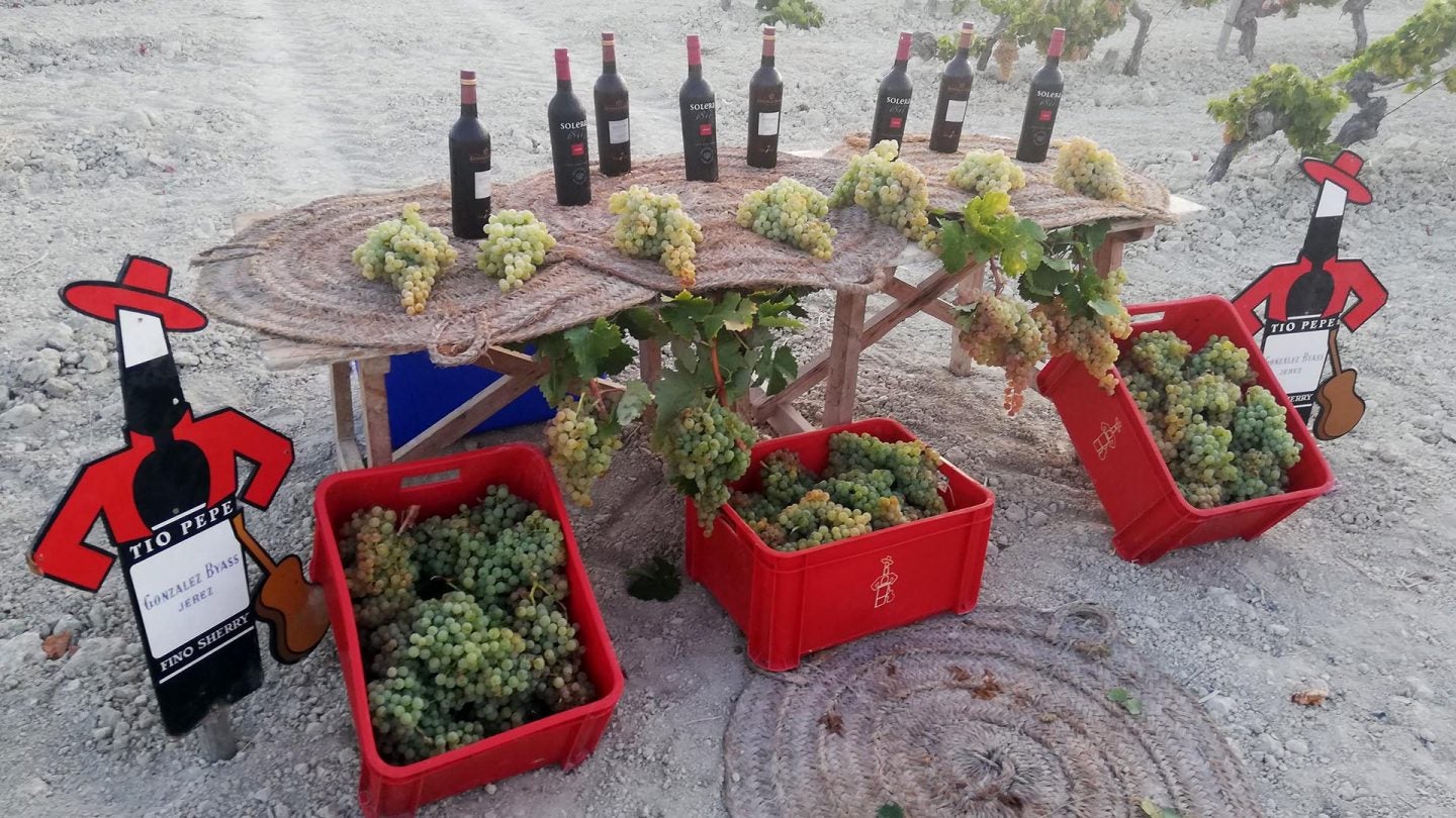 Uvas y botellas de vino de González Byass. En el suelo, las cajas rojas usadas por los vendimiadores.