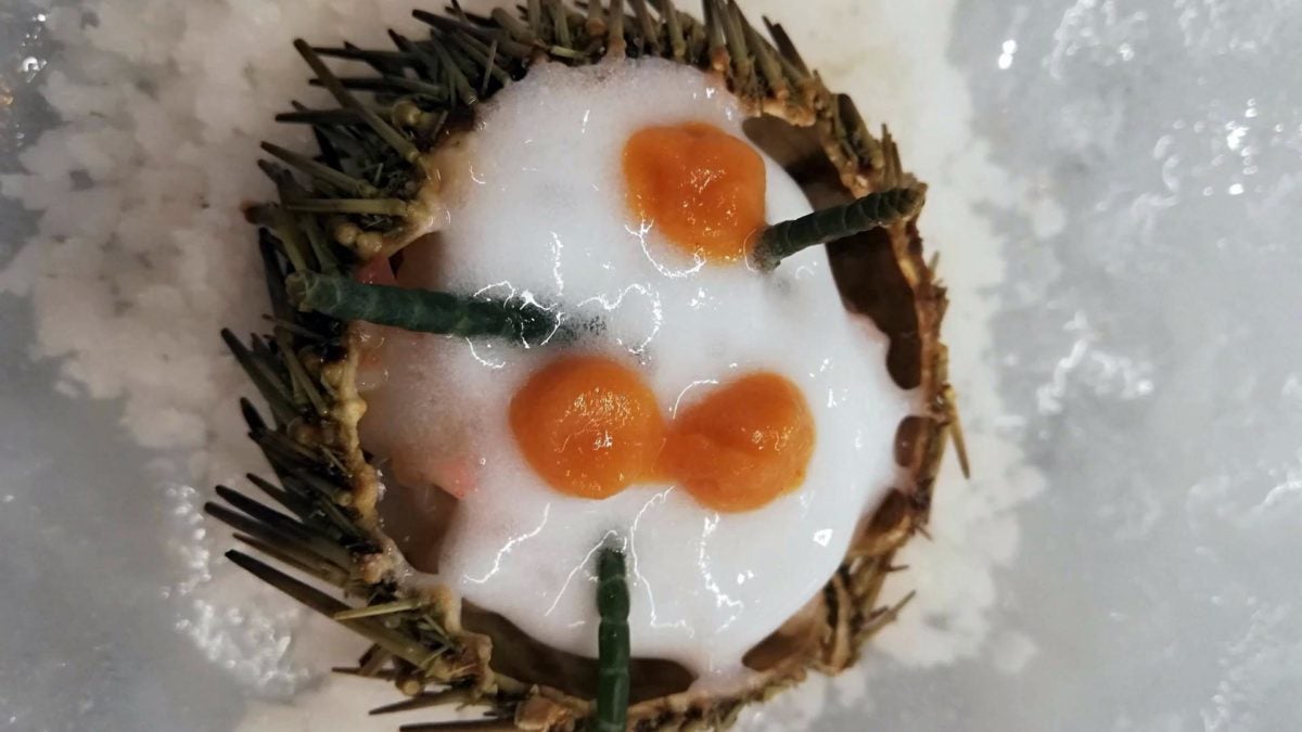 Erizo relleno de tartar de gambón, hierbaluisa y crema de sus gónadas.