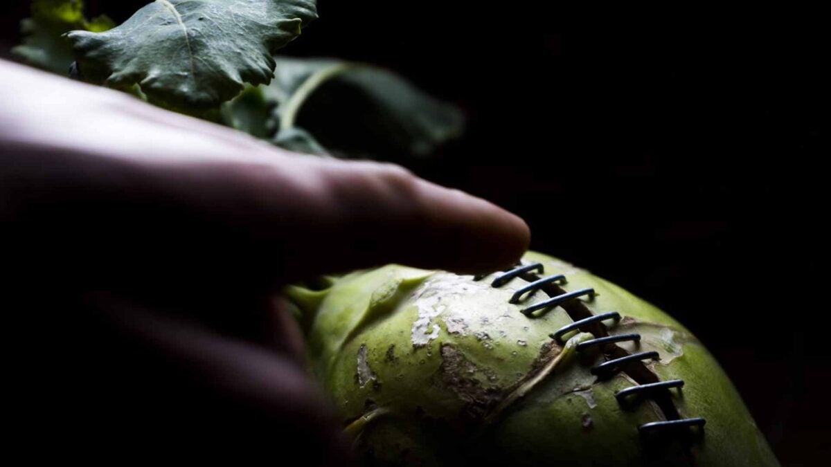 Las verduras con defectos del Cultivo Desterrado, se aprovechan en Ciclo. | Foto: Agustín Gómez / Rafa Monge