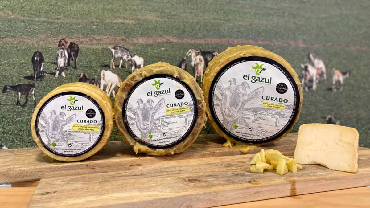El queso de El Gazul en aceite de oliva virgen extra premiado en Roma.