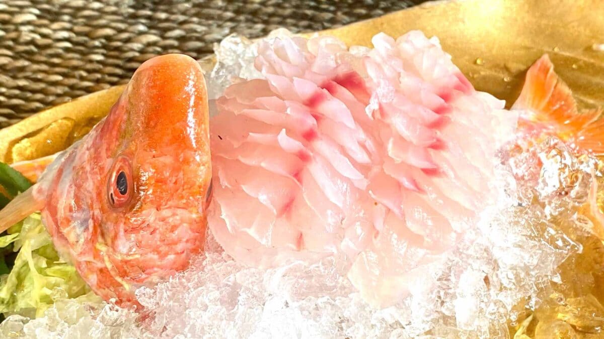 Sashimi de salmonete.