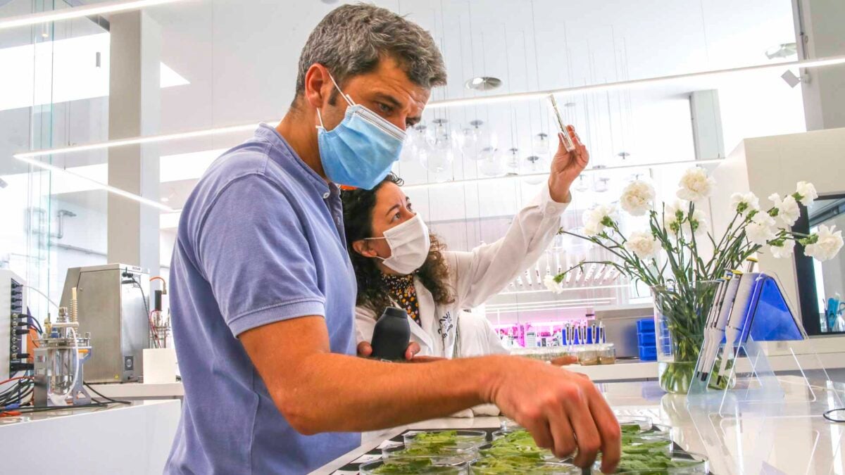 Félix García, en su centro de trabajo. | Foto: Aponiente.