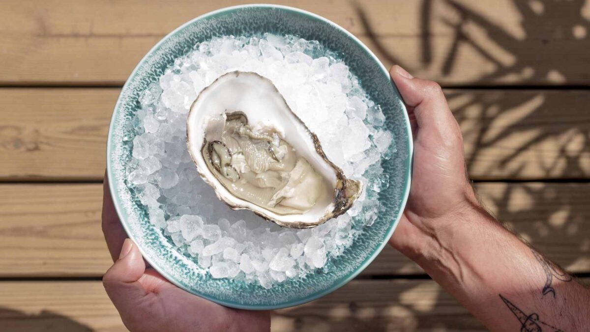 Los productos del mar, como las ostras, tienen buena presencia en la carta. 