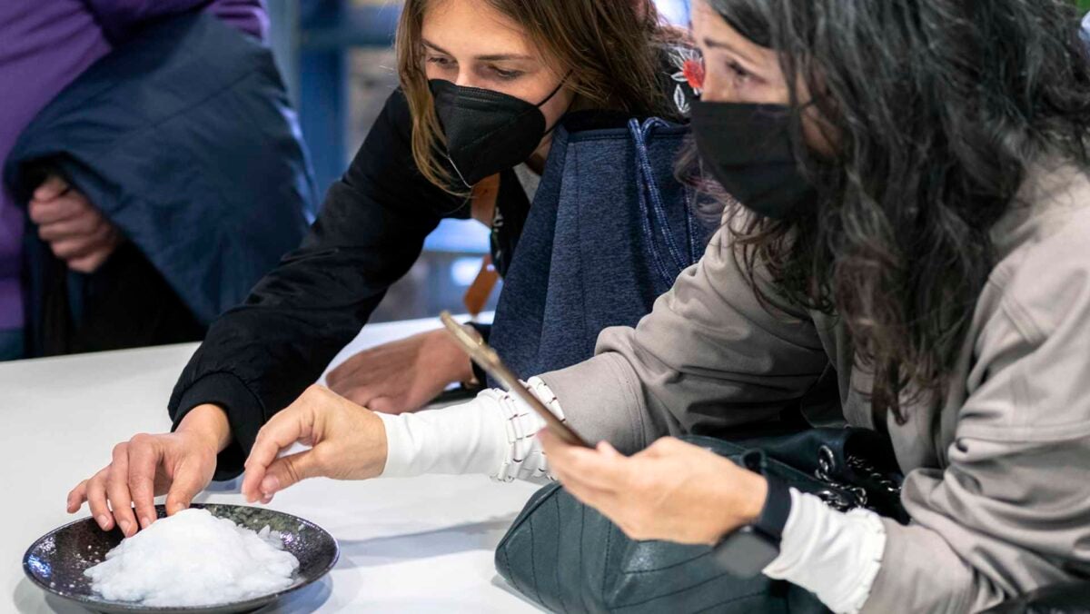 Unas alumnas en la actividad de Aponiente. | Foto: Javier Reina.