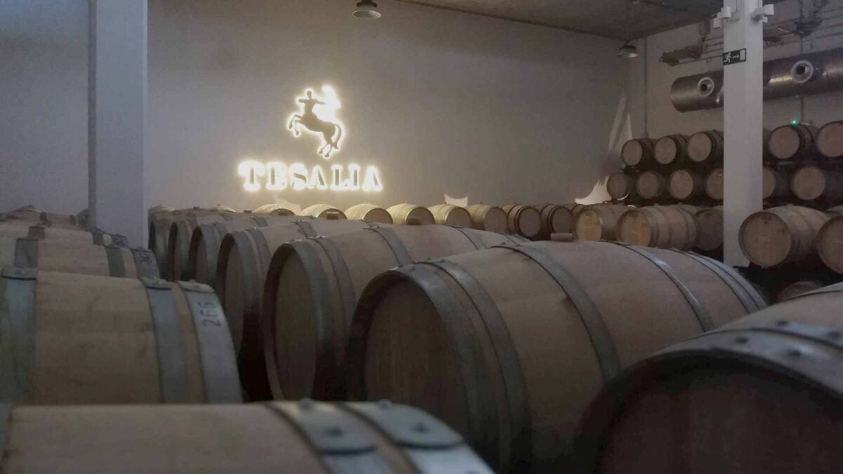 La sala de crianza de Tesalia, presidida por la imagen de la bodega.