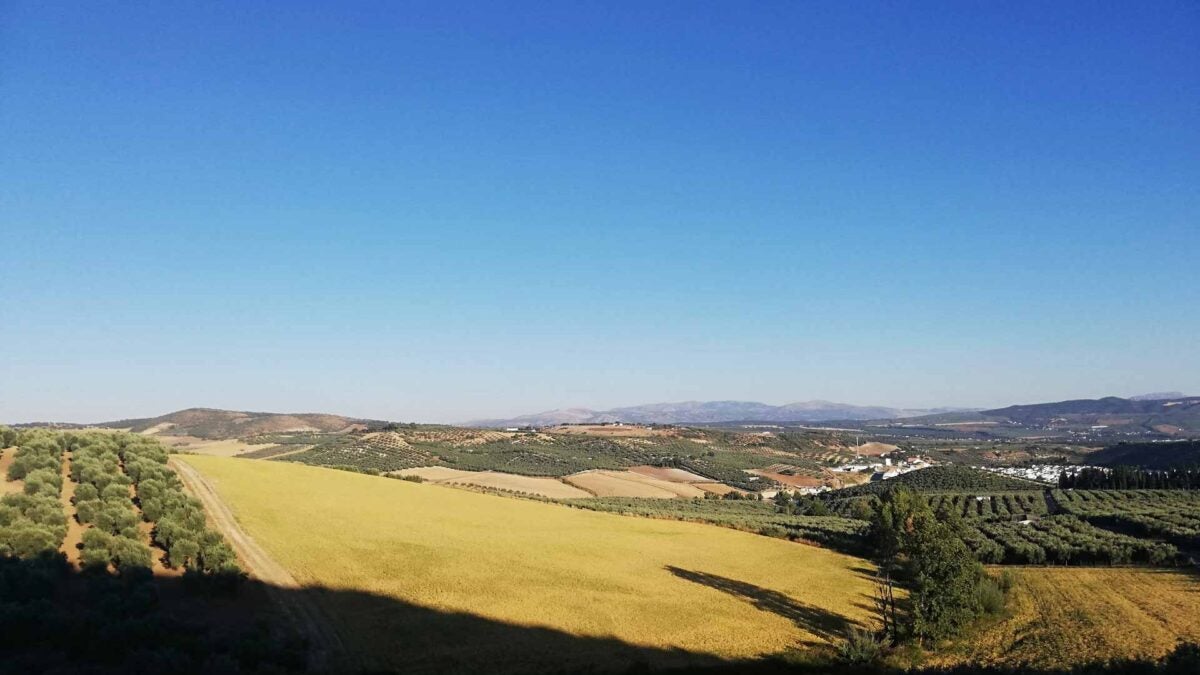 Vistas de Alcalá del Valle al poco de iniciar la ruta a pie.