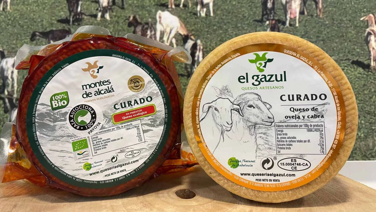 Los quesos de El Gazul premiados en Roma. | Foto: El Gazul.