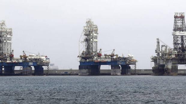 El puerto de Las Palmas ha visto proliferar en sus aguas peces del Golfo de Guinea