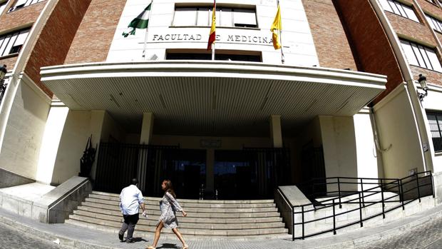 Notas De Corte En La Universidad De Cadiz 2019 2020 Medicina El