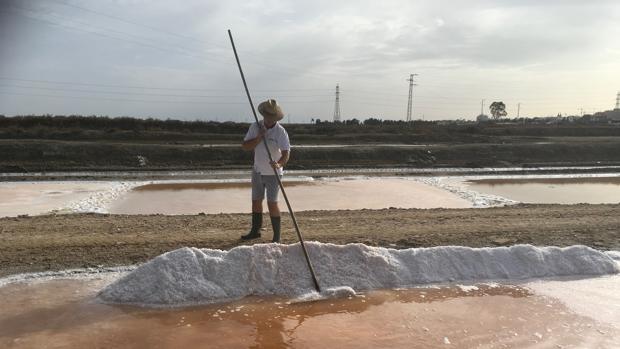 La salina San Vicente, en San Fernando, es una de las seis en toda España que producen flor de sal con los métodos tradicionales.