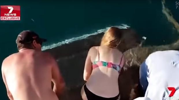Una mujer intenta alimentar a un tiburón desde un barco