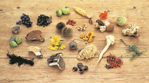 Tabla de ingredientes de Ana Ros